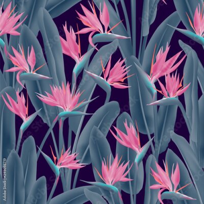 Papier peint  Strelitzia reginae tropical flower vector seamless pattern. Jungle exotic tropical plant fabric design. South African plant tropical blossom of crane flower, strelitzia. Floral textile print.