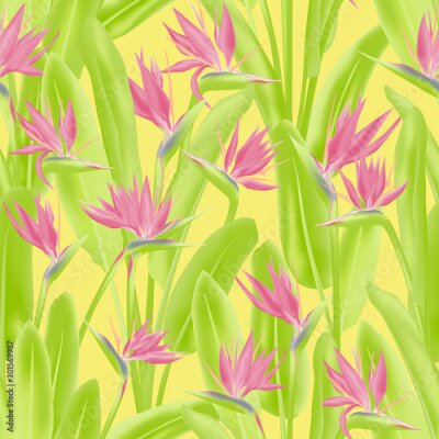 Papier peint  Strelitzia reginae tropical flower vector seamless pattern. Jungle exotic tropical plant fabric design. South African plant tropical blossom of crane flower, strelitzia. Floral textile print.