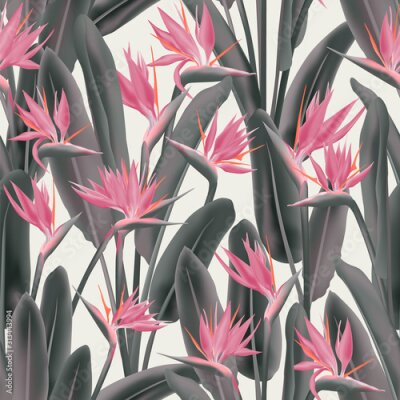 Papier peint  Strelitzia reginae tropical flower vector seamless pattern. Jungle exotic tropical plant fabric design. South African plant tropical blossom of crane flower, strelitzia. Floral textile print.