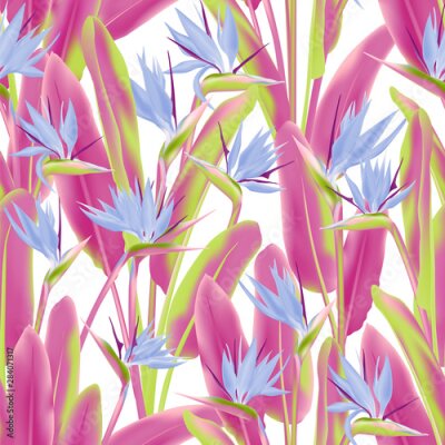 Papier peint  Strelitzia reginae tropical flower vector seamless pattern. Jungle exotic tropical plant fabric design. South African plant tropical blossom of crane flower, strelitzia. Floral wallpaper.