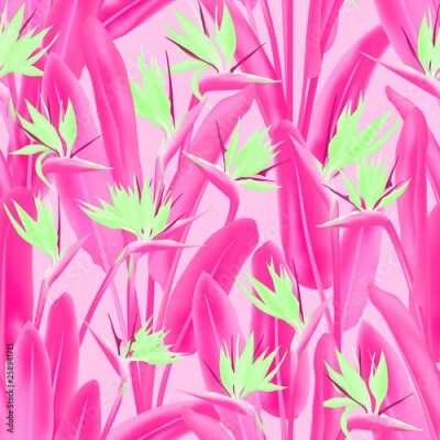 Papier peint  Strelitzia reginae tropical flower vector seamless pattern. Jungle plant paradise tropical summer fabric design. South African plant tropical blossom of crane flower, strelitzia. Floral textile print.