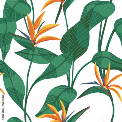 Papier peint  Strelitzia reginae, tropical flowers seamless pattern. Hand drawn vector illustration. Colored exotic plants ornament. Botanical design for fabric, textile, wallpaper, background, print, decor, wrap.