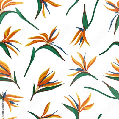 Papier peint  Strelitzia reginae, tropical flowers seamless pattern. Hand drawn vector illustration. Colored exotic plants ornament. Botanical design for fabric, textile, wallpaper, background, print, decor, wrap.