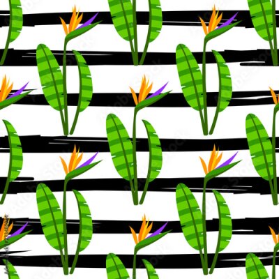 Papier peint  Strelitzia Seamless Pattern