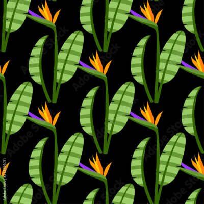 Papier peint  Strelitzia Seamless Pattern Colorful bright flowers on black background.