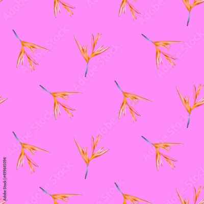 Papier peint  Strelitzia seamless pattern Tropical
pattern pattern Trends