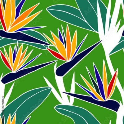 Papier peint  Strelitzia tropical flowers seamless pattern. Vector stock illustration eps10.