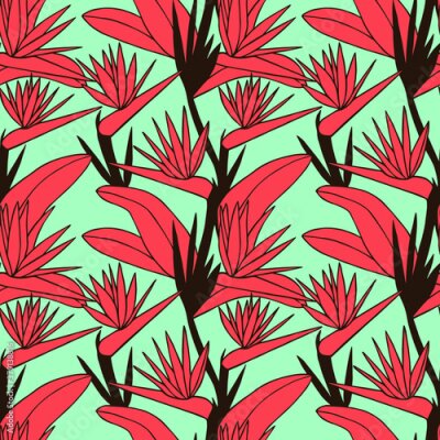 Papier peint  Strelitzia tropical flowers seamless pattern. Vector stock illustration eps10.