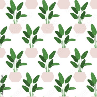Papier peint  Strelitzia. Vector seamless pattern of a houseplant in a pot on a white background.