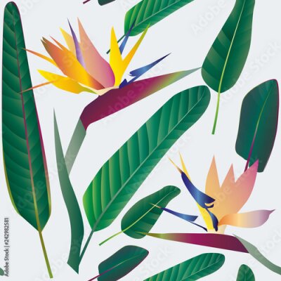 Papier peint  Strelitzia with leaves on a white background. Seamless pattern.T