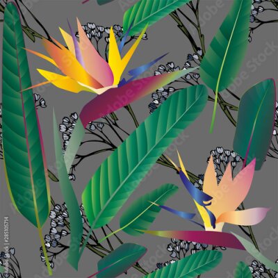 Papier peint  Strelitzia with leaves on a white background. Seamless pattern.Tropical flowers. Vector illustration, objects with transparency. Invitation, card.