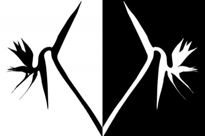 Papier peint  STRELITZIAS fr ombres chinoises, positif et négatif