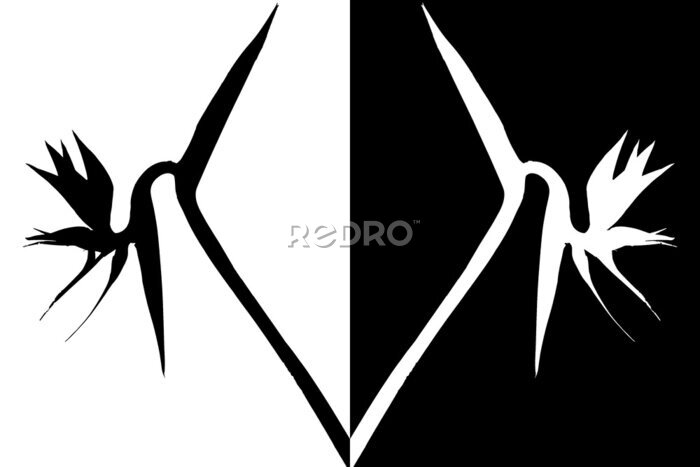 Papier peint  STRELITZIAS fr ombres chinoises, positif et négatif