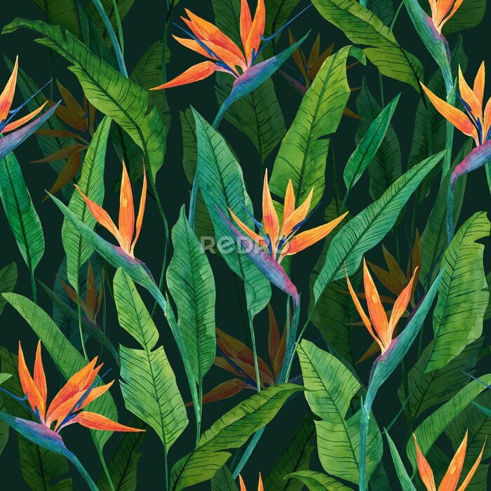 Papier peint  Strelitzias orange sur fond vert avec des feuilles
