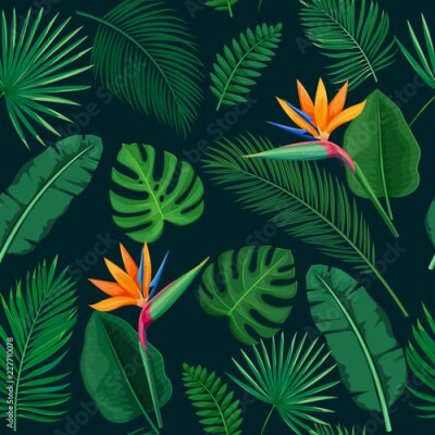 Papier peint  Strelitzias parmi les feuilles tropicales dans le vert