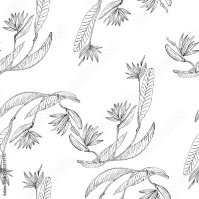 Papier peint  Strelizia tropical paradise pattern for print design. Floral seamless Flower background. Trendy spring blossom decoration.