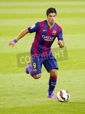 Papier peint  Suarez sur le gazon vert