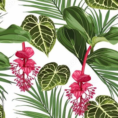 Papier peint  Summer colorful background. Seamless pattern with tropical  Medinilla flowers. Fashionable illustration with palm leaves and plant on a white background.