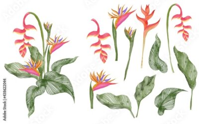 Papier peint  summer greenery tropical leaf and strelitzia isolated clip art watercolor