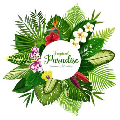 Papier peint  Summer holidays banner of tropical palm leaf and hawaiian flower. Exotic floral bouquet of hibiscus, plumeria, orchid and strelitzia flower, fern, monstera, fan and areca palm for invitation design