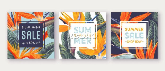 Papier peint  Summer sale banner with tropical flowers - Strelitzia, on background with bright colours. Can be used as greeting, invitation card, template design, cover, party, advertisement. Square card templates.