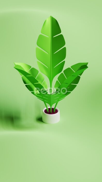 Papier peint  Summer Strelitzia 3D Rendering Illustration 06