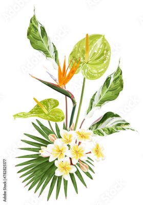 Papier peint  Summer tropical bouquet with strelitzia flower, plumeria, anthurium and palm leaves. Vector illustration on a white background.