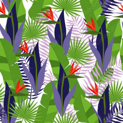 Papier peint  Summer tropical pattern with exotic flowers. Strelitzia with leaves on a white background.