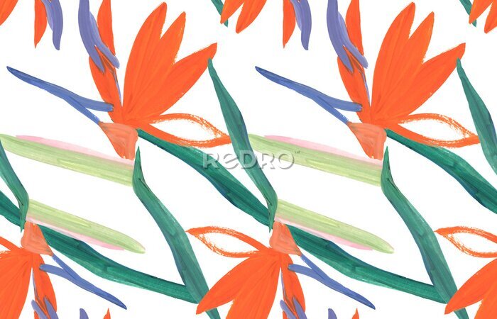 Papier peint  summer tropical seamless pattern with orange Strelitzia royal flower on a white background drawn in a naive style in gouache for prints and design