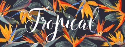 Papier peint  Summer tropical vector design for banner or flyer with Strelitzia Reginae, tropical flowers and leaves, South African plant, called crane flower or bird of paradise and lettering. Realistic style.