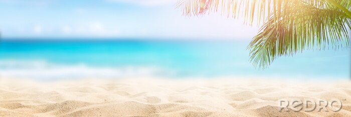 Papier peint  Sunny tropical beach with palm trees