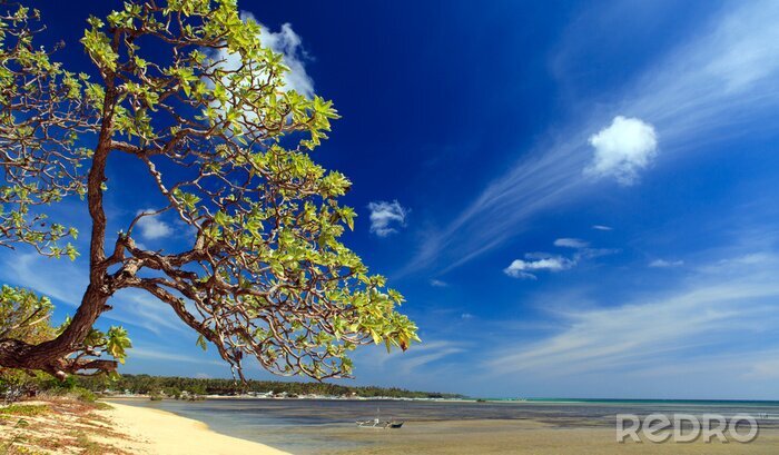 Papier peint  Sur la plage