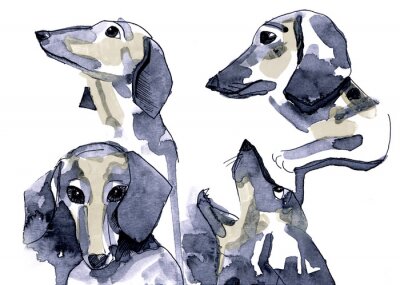 Papier peint  Teckels peints à l'aquarelle sur fond blanc