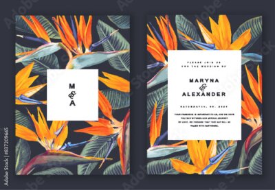 Papier peint  Template for card, greeting, postcard, label, place for text for advertising banner or post with botanical elements. Realistic tropical Strelitzia flowers on a dark background. Hand drawn plants.