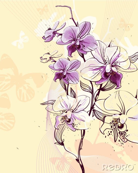 Papier peint  tendre rameau floraison des orchidées sur un fond clair avec du beurre