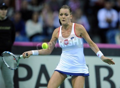 Papier peint  Tennis match Agnieszka Radwanska