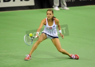 Papier peint  Tennis match d'Agnieszka Radwanska