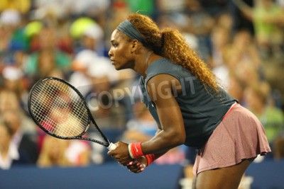 Papier peint  Tennis match de Serena Williams
