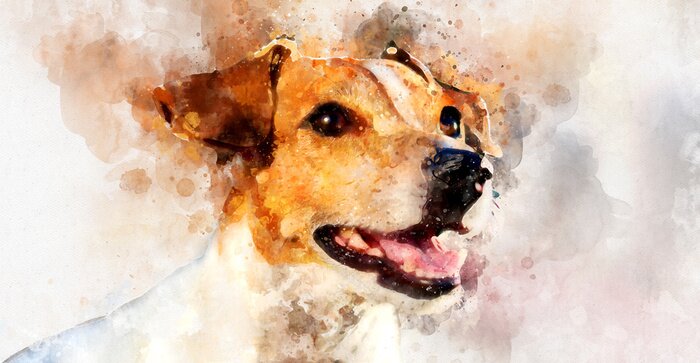 Papier peint  Terrier Jack Russell sur fond aquarellé
