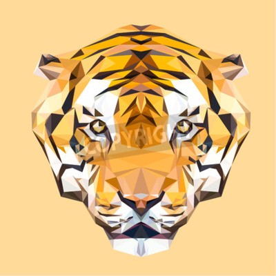 Papier peint  Tête de tigre géométrique