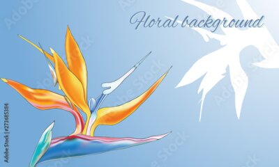 Papier peint  Text frame with a tropical flower Strelitzia reginae. Contour white and orange tropical flower on a blue background. Vector illustration.