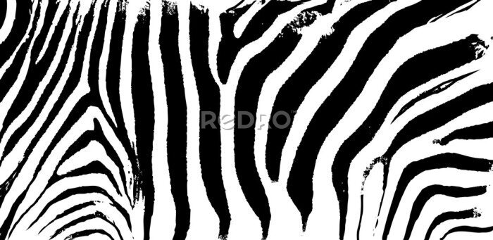 Papier peint  Texture animale en noir et blanc