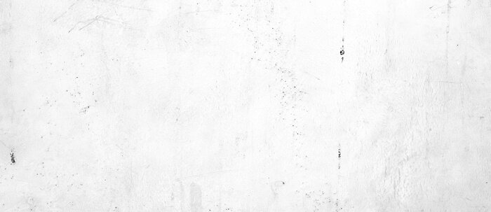 Papier peint  Texture béton gris et blanc