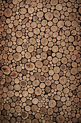 Papier peint  Texture troncs d'arbres