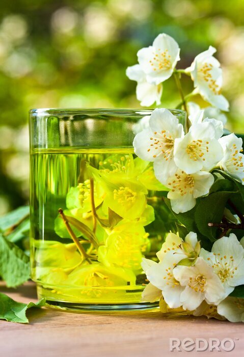 Papier peint  Thé au jasmin