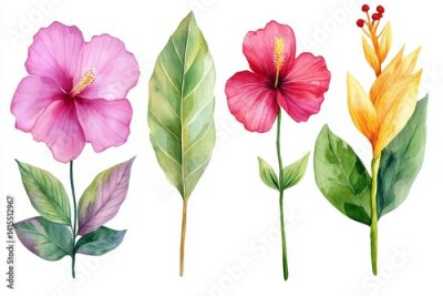 Papier peint  The exotic flowers include orchid, guzmania, bromelia, hibiscus, and strelitzia, depicted in a botanical painting through watercolor illustration of flora