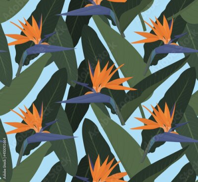 Papier peint  the pattern of their tropical leaves and strelitzia flower