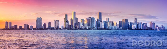Papier peint  the skyline of miami while sunset