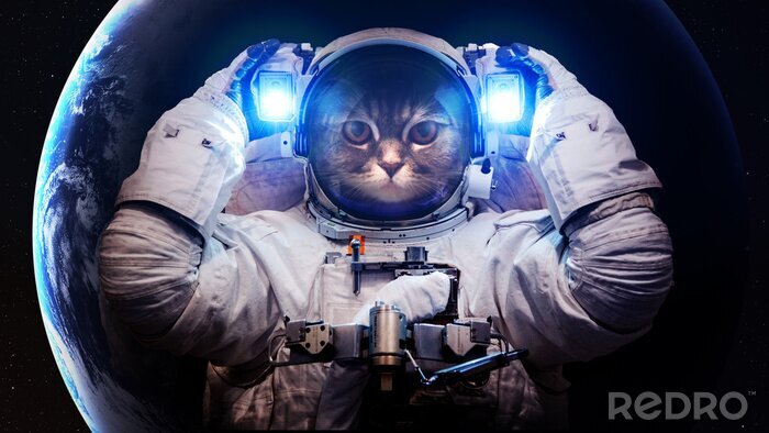 Papier peint  Thème de l'espace et chat en tant qu'astronaute