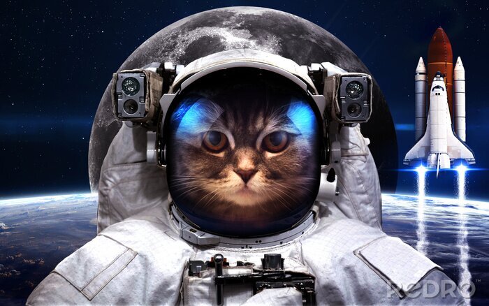 Papier peint  Thème de l'espace extra-atmosphérique et du chat astronaute